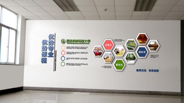 一般企業(yè)文化墻的尺寸是多大?(圖3) 大學教學企業(yè)文化墻設計